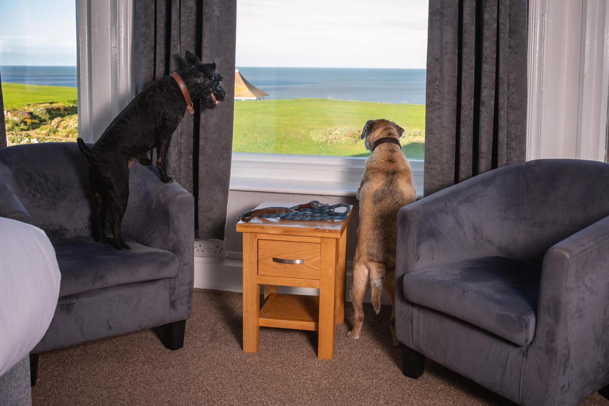 Sandcliff Guest House クロマー エクステリア 写真